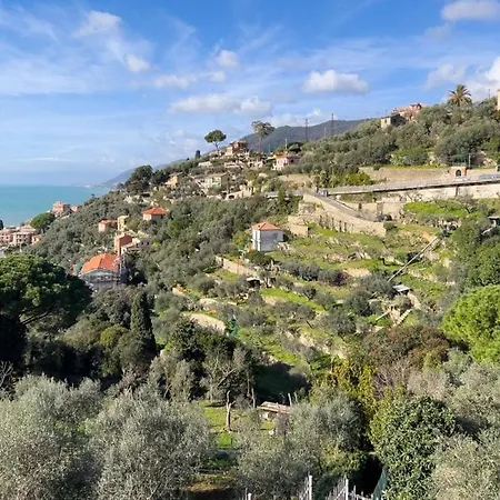 Rosa Camogli