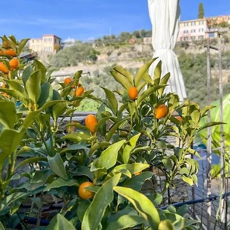 Villa Rosa *