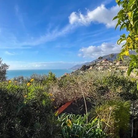 Rosa Camogli