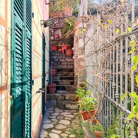 Rosa * Camogli