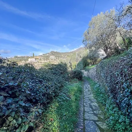 Rosa Villa Camogli