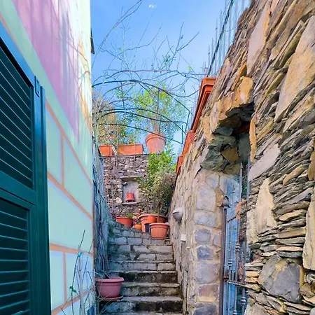 Rosa Villa Camogli