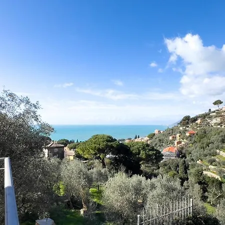 Rosa Camogli